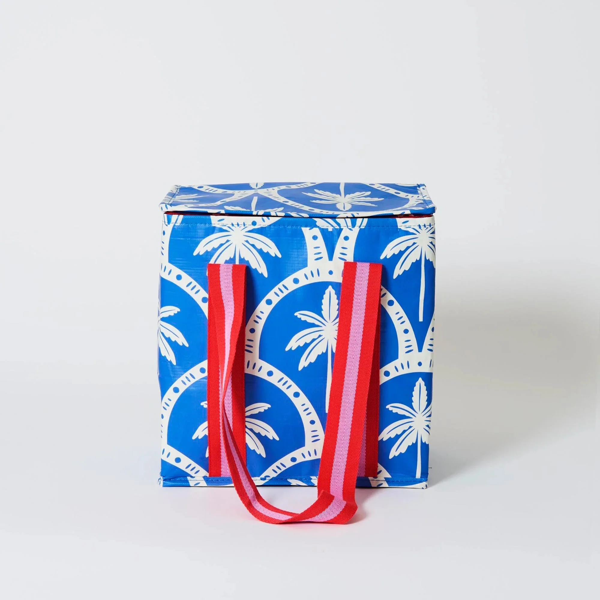 Project 10 - Medium Insulated Tote Blue Palm